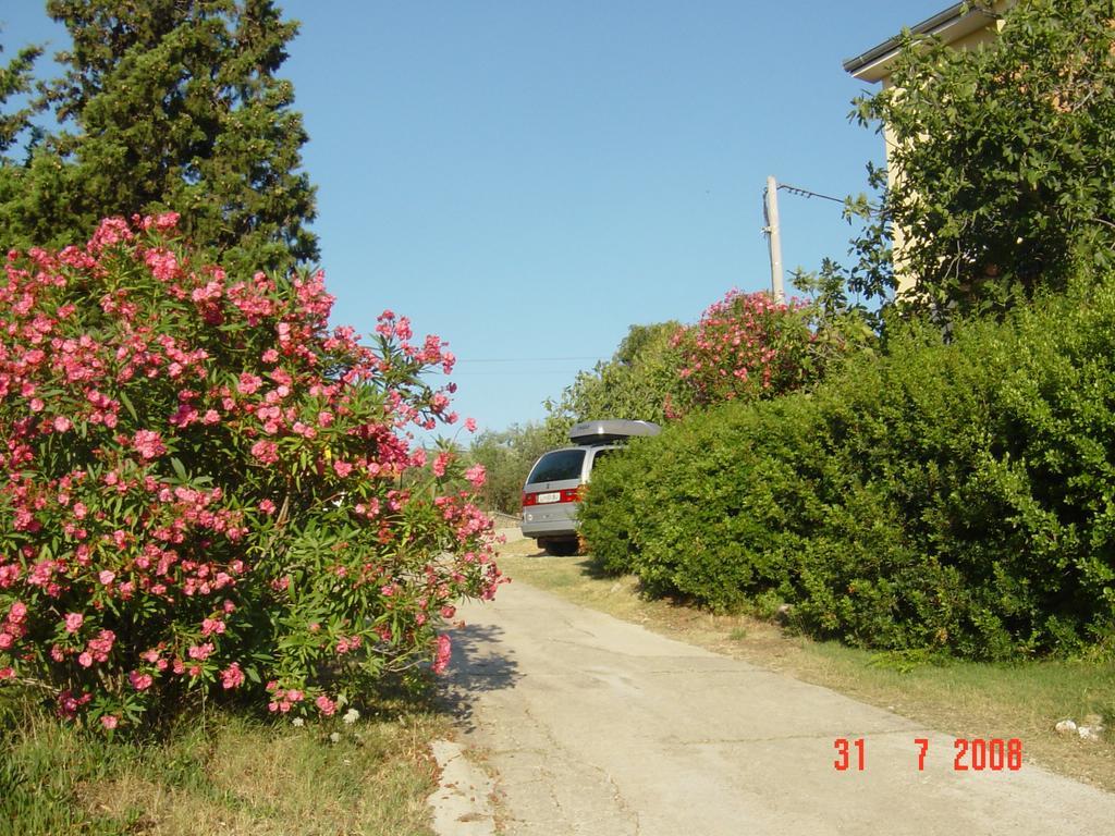 Apartments Prahović Zdrelac Bagian luar foto
